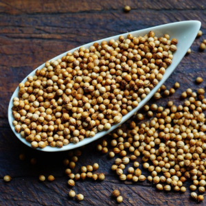 Dhaniya seeds